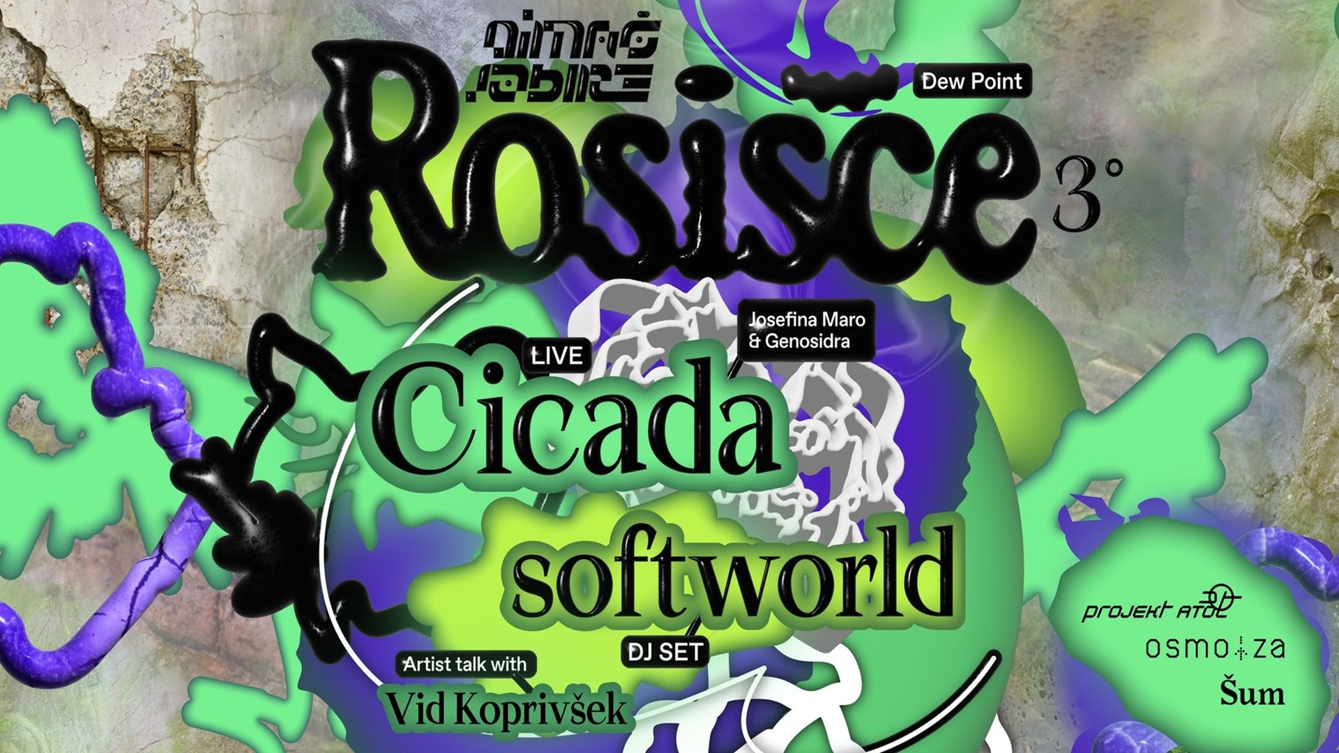 Rosišče °3: Cicada (AR/CO) & softworld (DE)